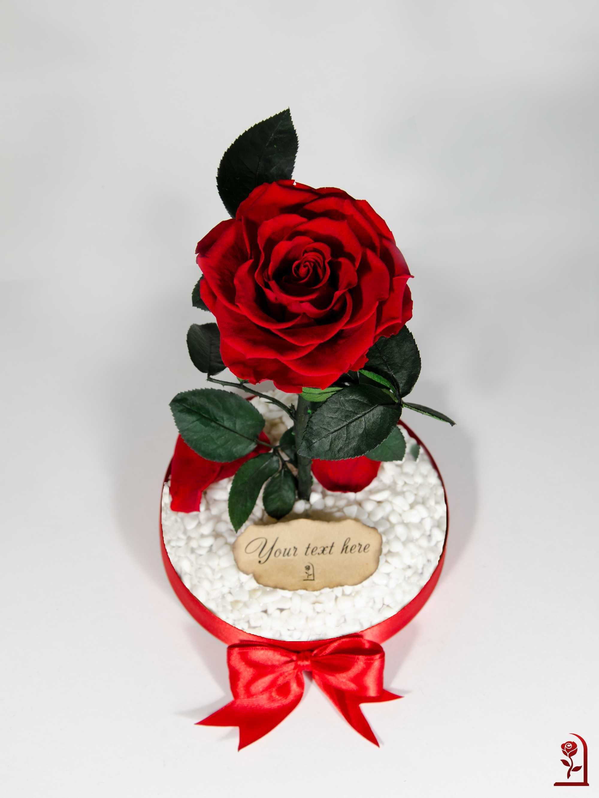 Естествена Вечна Роза в Голяма Стъкленица / Луксозен Подарък за Жена