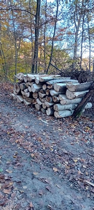 De vânzare  lemn de plop și salcie