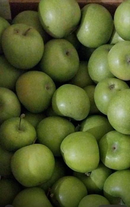 Продам яблоки Гренни Смит. С алматинский садов.