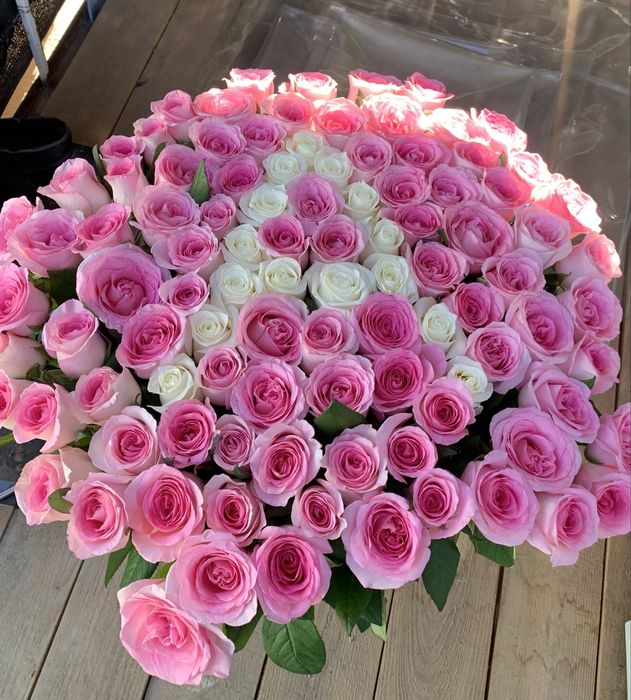 цветы гул свежие от евробукет