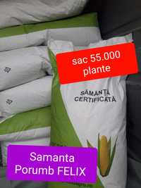 Samanta Porumb FELIX sac 55.000 plante