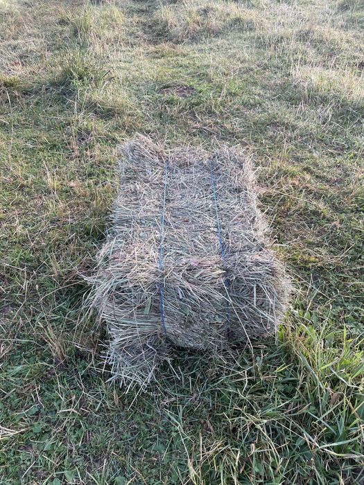 Vând baloti din fân, pret 15 LEI bucata