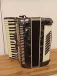 Acordeon Parrot 60 bași
