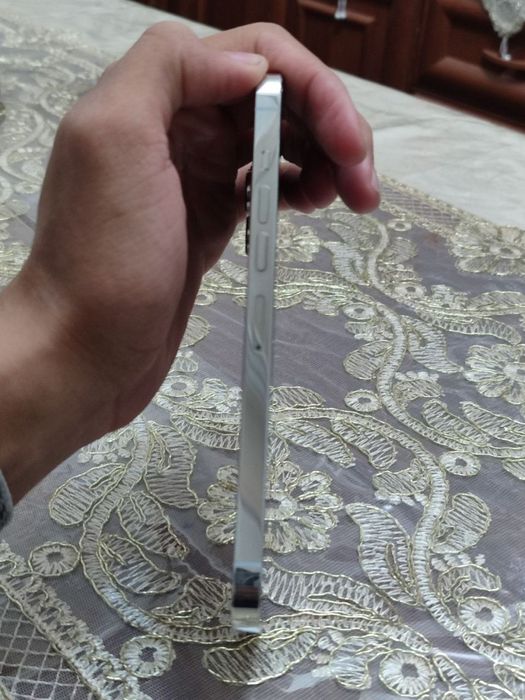 Iphone 13 pro max ideal