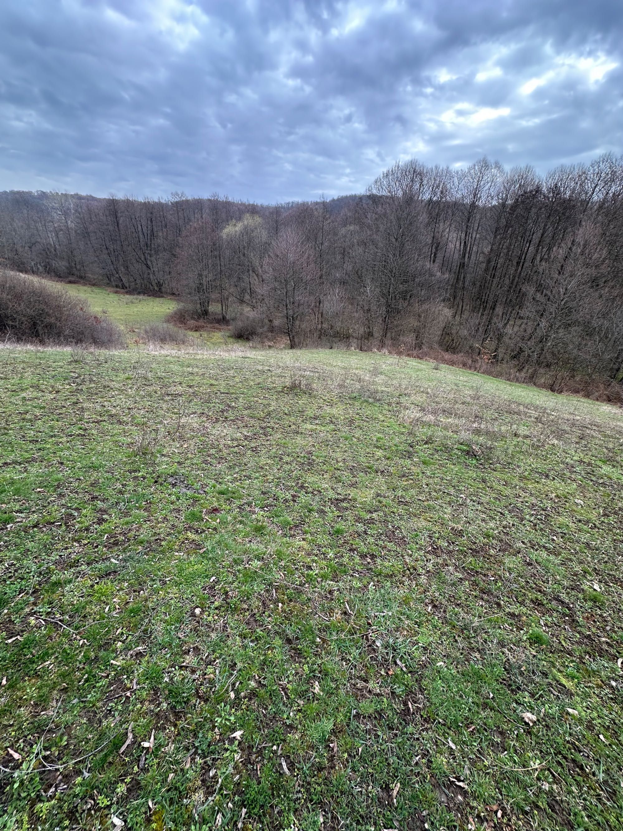Vând teren extravilan în localitatea Dragesti, Bihor. 2000mp
