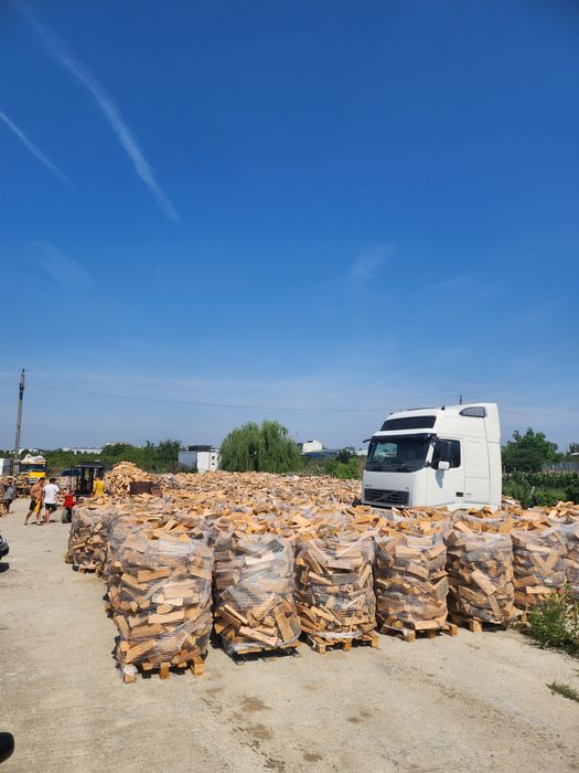 Lemne de foc fag uscat TR gratuit