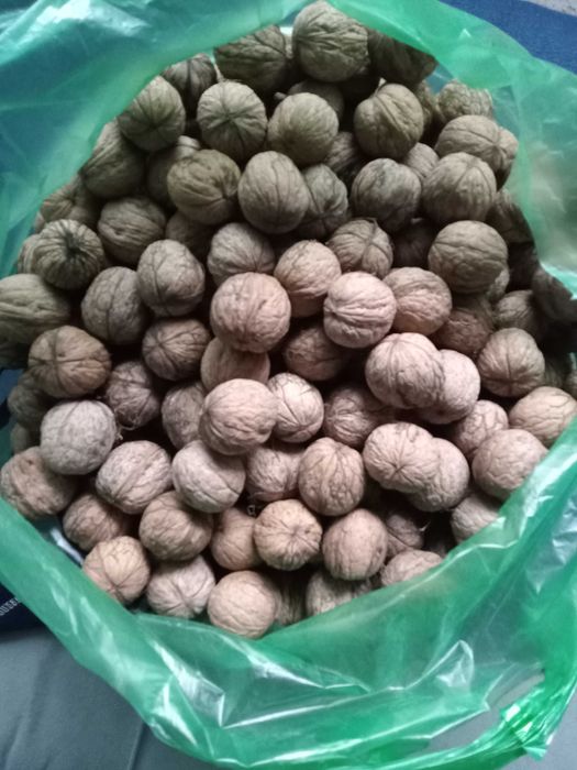 Продажа грецких орехов