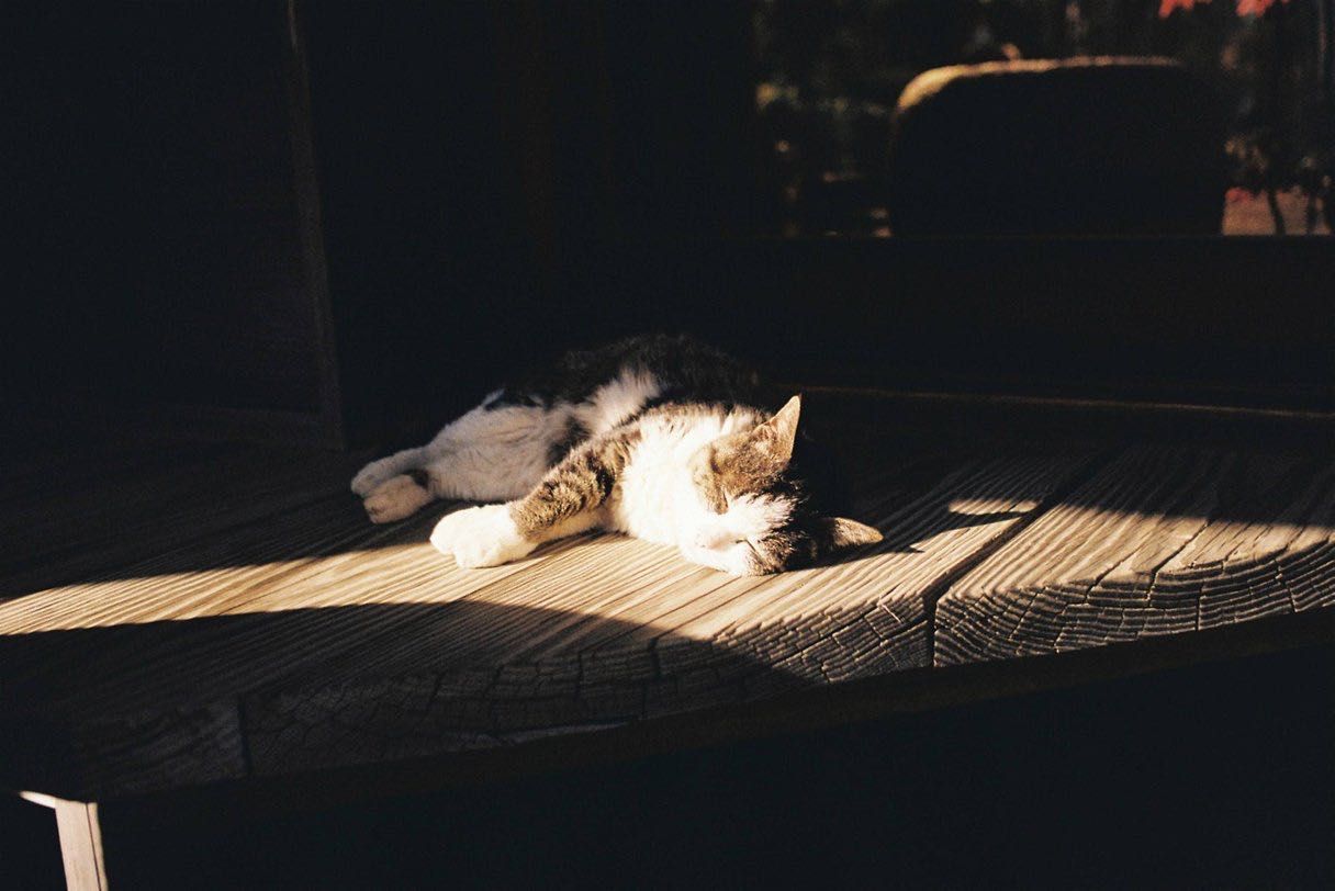 Nikon 35mm f/2.5 обектив Никон