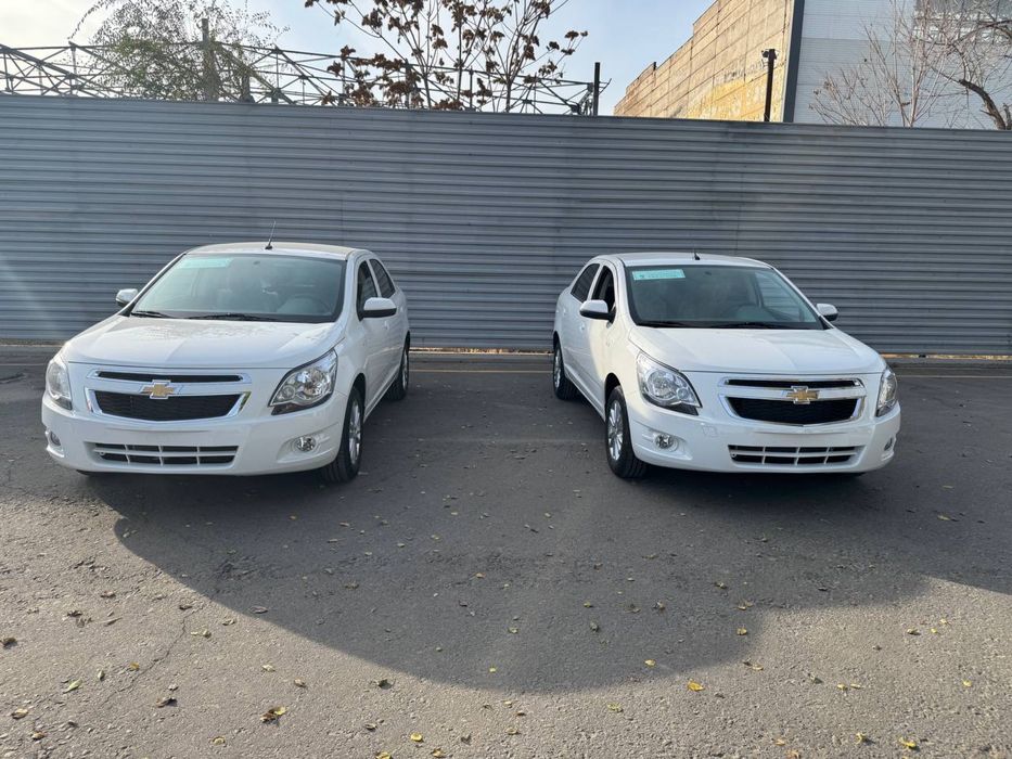 COBALT STYLE MCM  2025/2026 Bez probeg