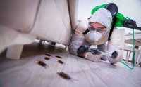 Дезинсекция уничтожение насекомых клопов тараканов