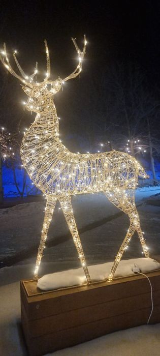 Олень 3д , доставка...