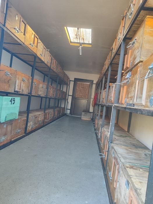 Remorca apicolă 18t