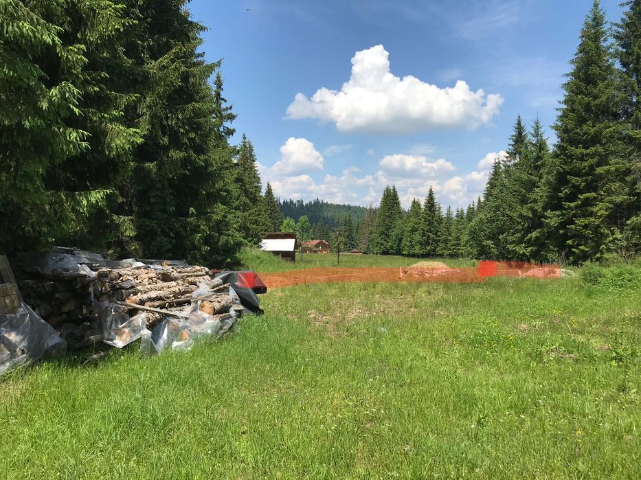 Teren de vis la munte Poiana Negri, lângă  pădure înconjurat de brazi