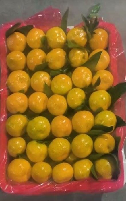 Мандарины сладкие без косточек оптом