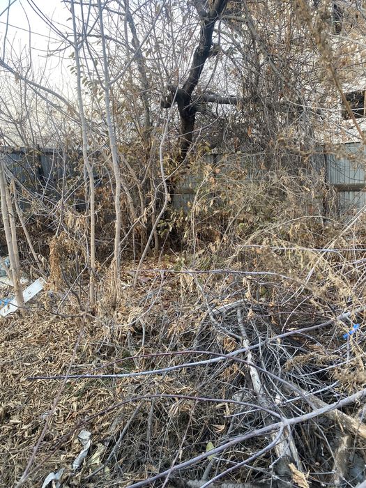 Дрова ( отын) тегін