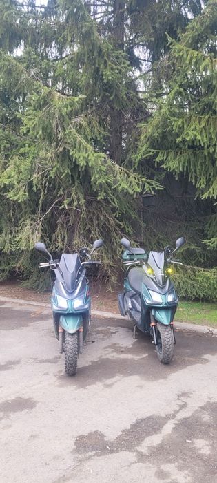 Аренда посуточная мопедов