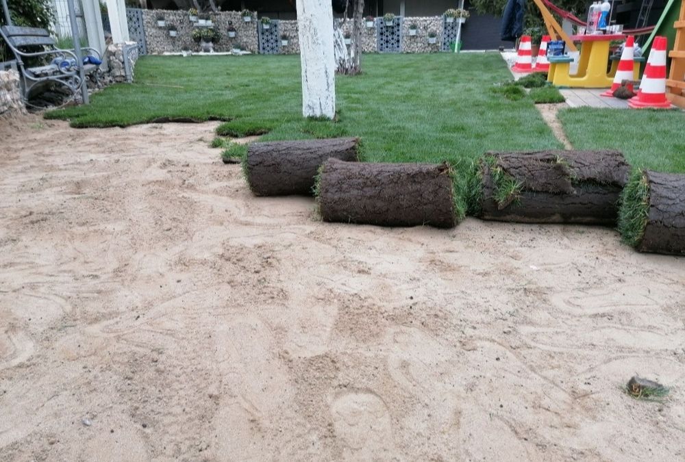 Gazon rulou sport 24 de lei metru pătrat, transport și montaj inclus