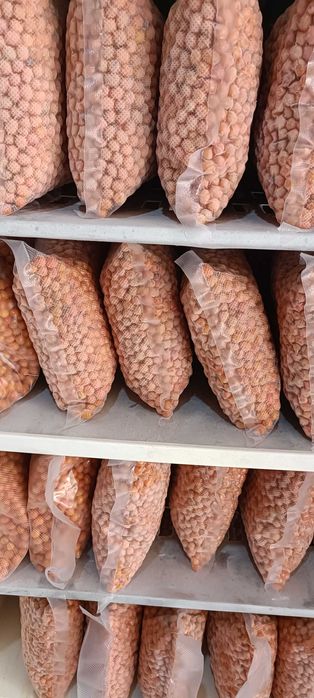 Cătină ambalata 1kg