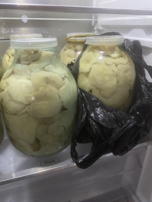 Продам Селенные грибы