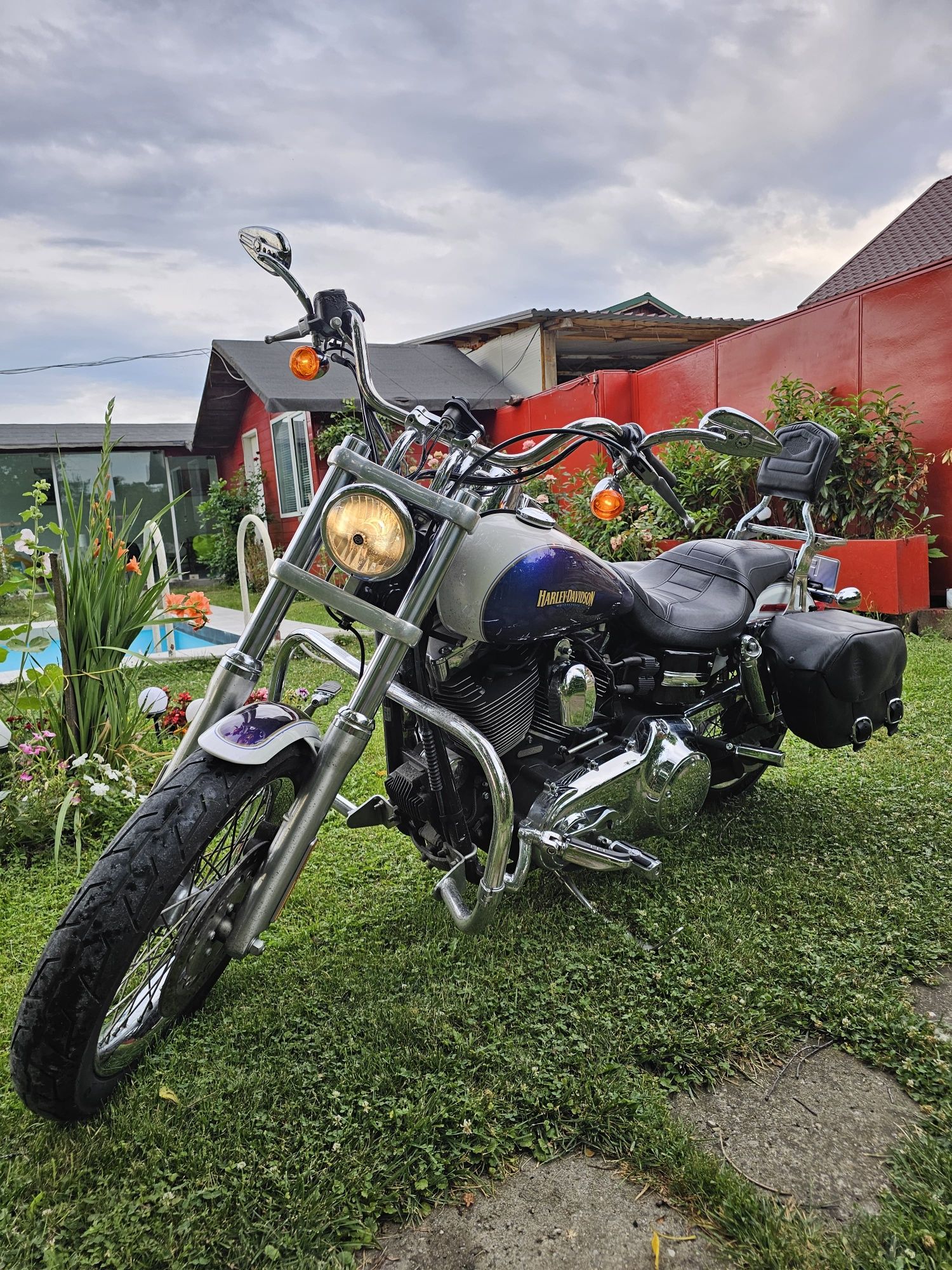 Harley impecabil