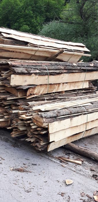 Иглолистни изрезки