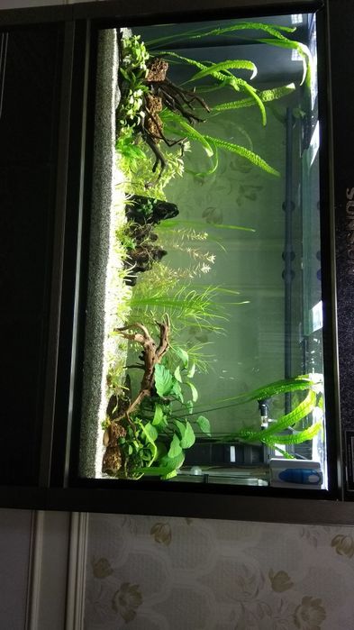 Аквариум от фирмы "SUNSUN" сенсорный экраном