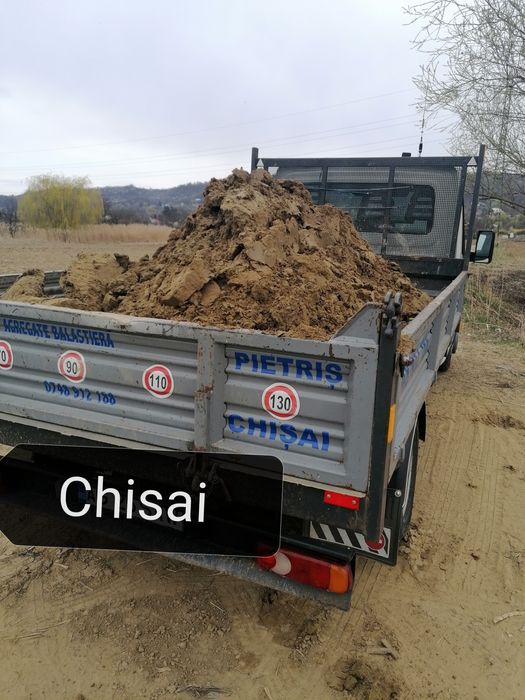 Pamant de gradina Chisai de gazon sau mranita