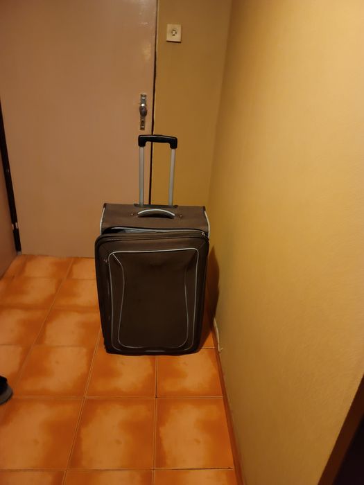 Куфар голям на колела