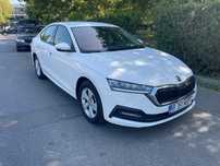 Skoda Octavia Skoda Octavia 2.0 TDI 115 co