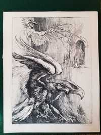 Chirnoaga, Marcel - Sburator cu Vultur bicefal, gravura
