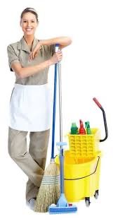 Curatenie la domiciuliu