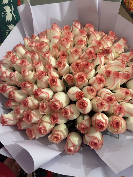 151 шт роза  жаңа келді