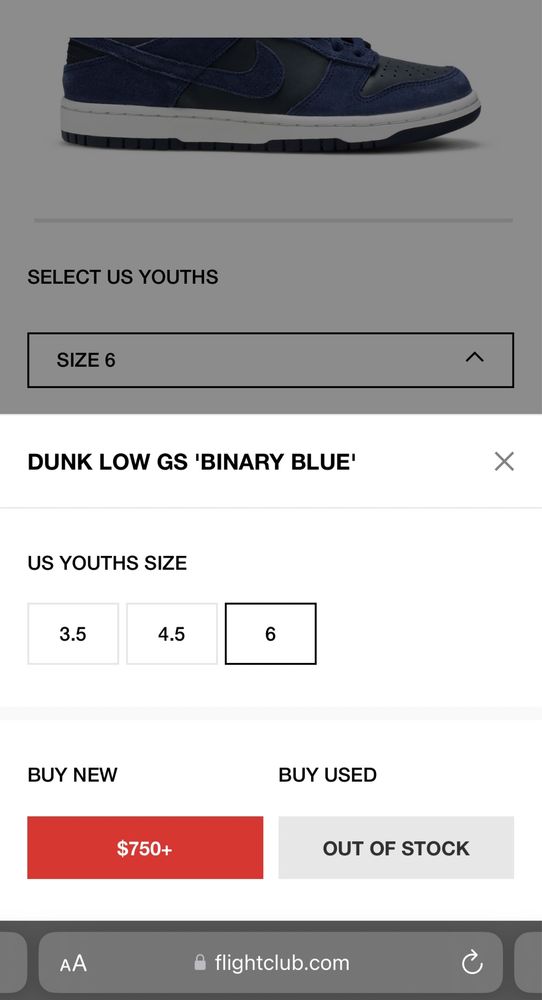 Nike Dunk Low GS 'Binary Blue'