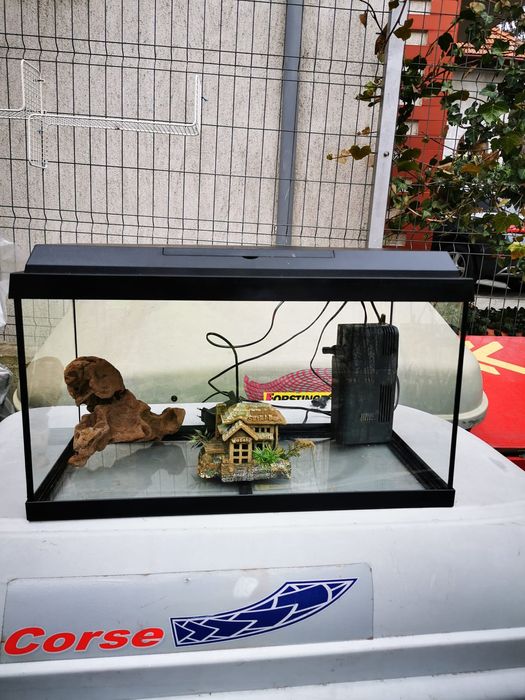 Vând acvariu Juwel Primo60 și Tetra complet echipate