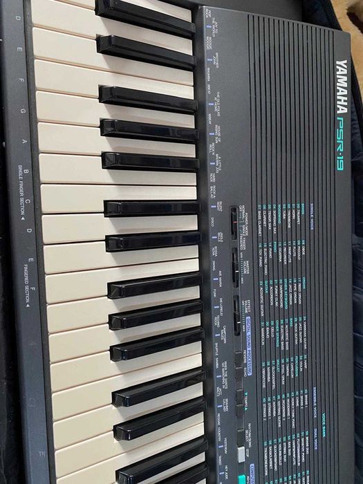 Orgă, Yamaha PSR 19