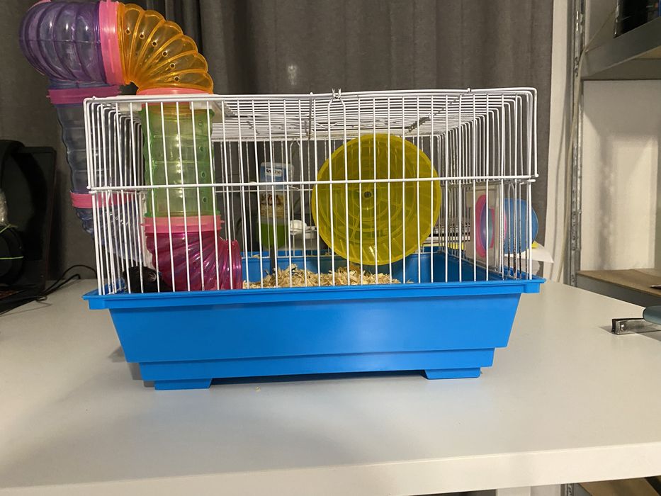 Vand cusca speciala pentru hamsteri