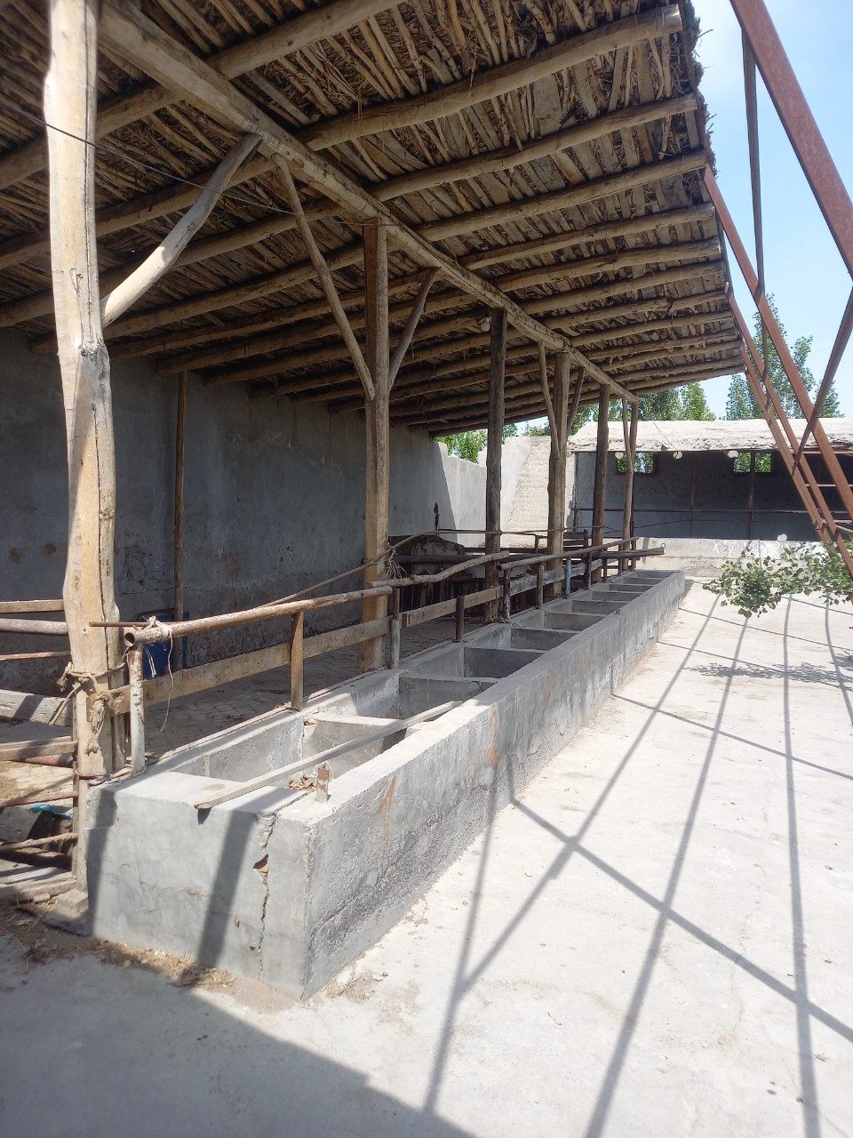 Tayyor molhona sotiladi