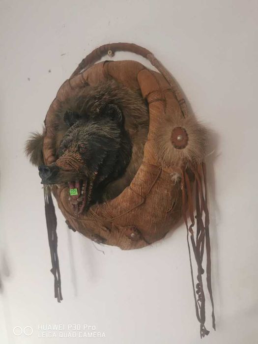 Tabloui cap de urs cu tenta indiana