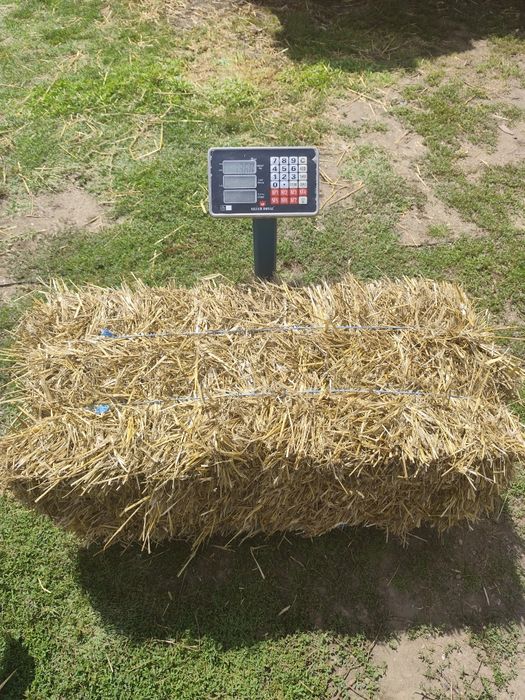 Baloti de paie de triticale