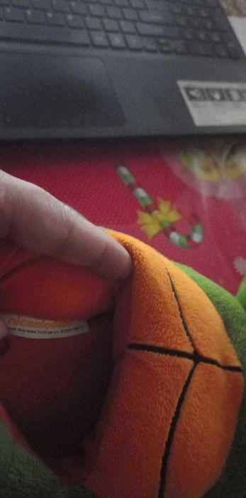 botosi de casa Nickelodeon