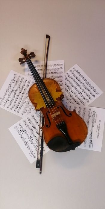 Cursuri muzică -vioară, pian adulți, copii tipici/atipici