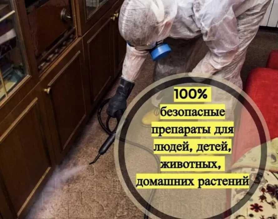 Dezinfeksiya Дезинфекция tarakan klop klapa burga chivin pashsha клоп