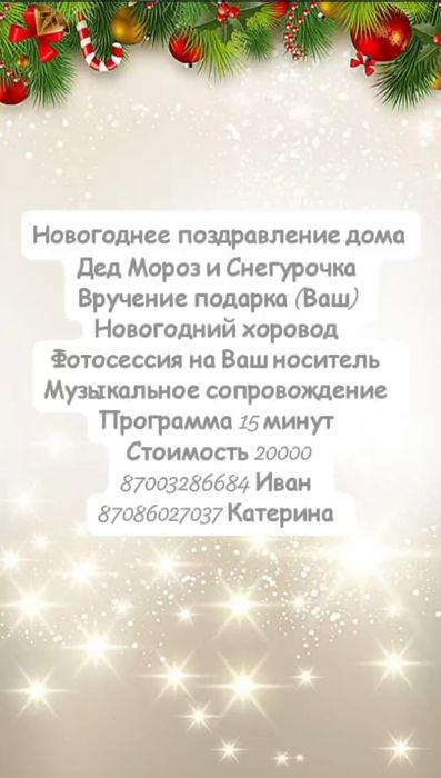 Новогоднее поздравление дома Дед Мороз и Снегурочка, Аниматоры Белый М