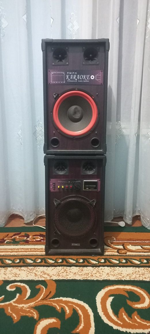 Karaoke p.m.p.o audio system