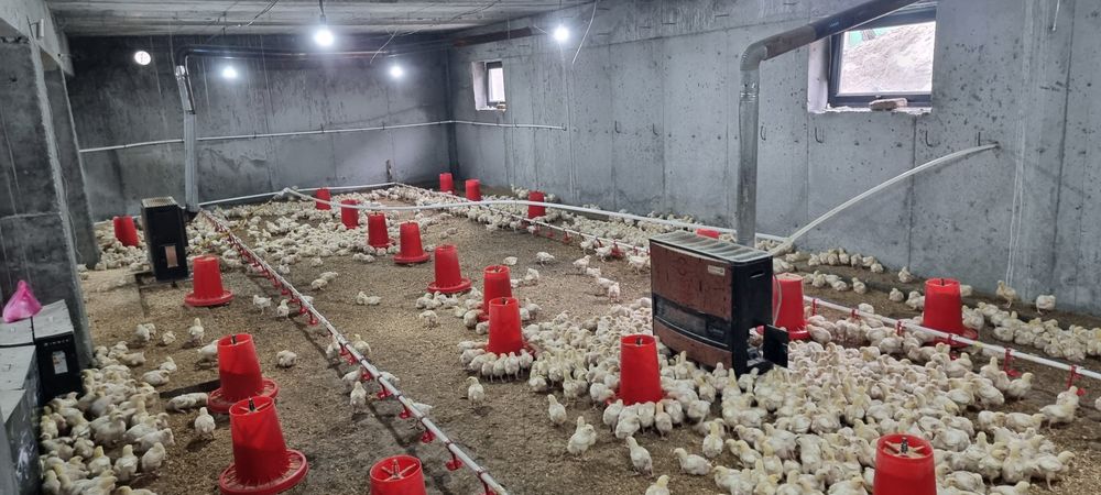 Eron pechka sotiladi.