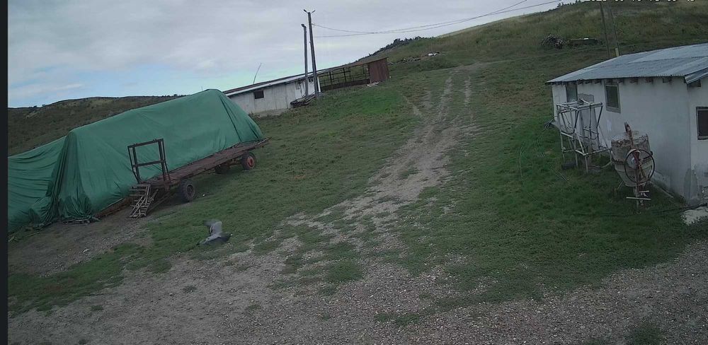 Ferma de vanzare judet Botosani
