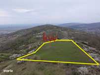 Teren de Vanzare – 10.042 mp, Tomesti