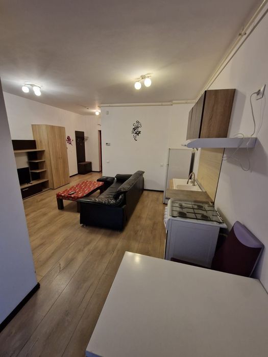 Apartament 1 camera Ared Micalaca