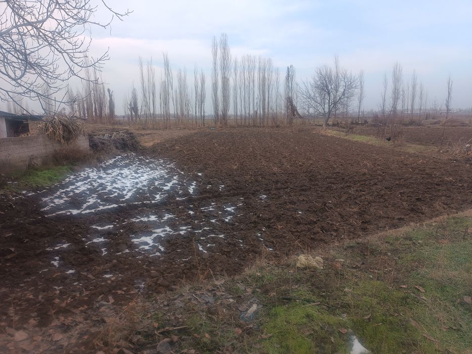 Yer sotiladi 15 sotik