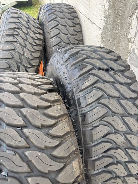 Roti patrol,35x12,5x15